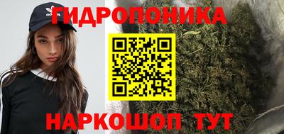 гашиш Кингисепп