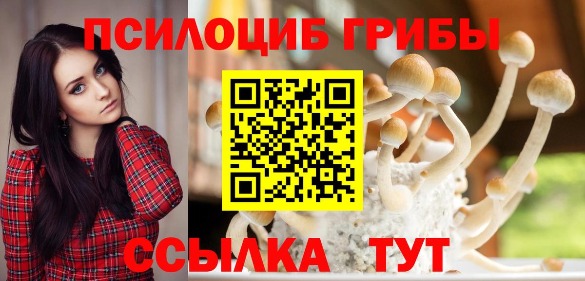 Галлюциногенные грибы Psilocybe Валуйки